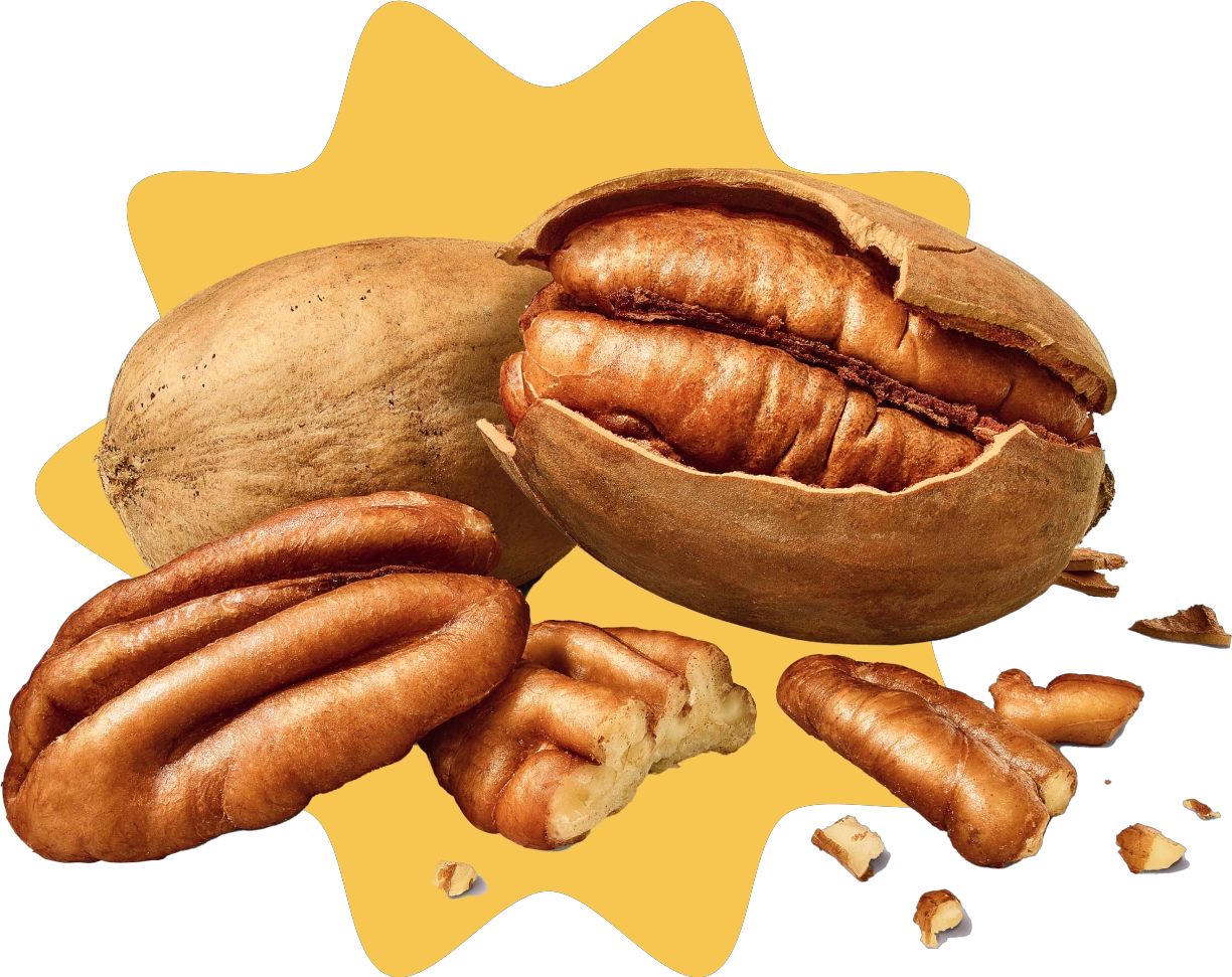 pecans-pizazz_optimized